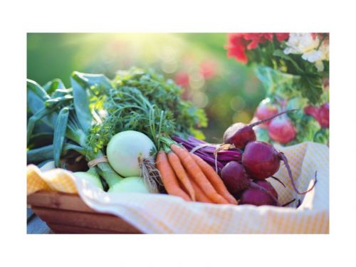 Ernährungsberatung Wien