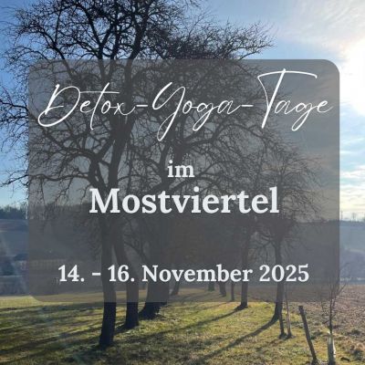 Detox-Yoga-Tage im Mostviertel