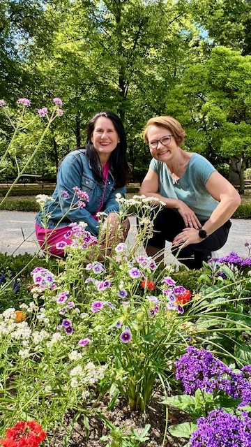 Webinar Wechseljahre