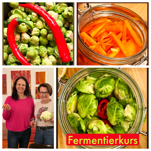 Fermentationskurs Wien