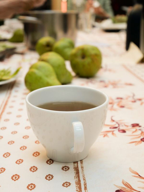 Detox-Yoga-Tage im Mostviertel