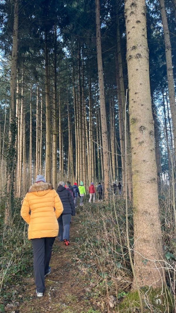 Detox-Yoga-Tage im Mostviertel