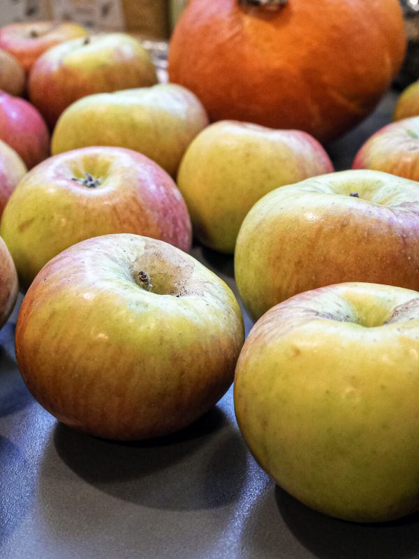 Detox-Yoga-Tage im Mostviertel