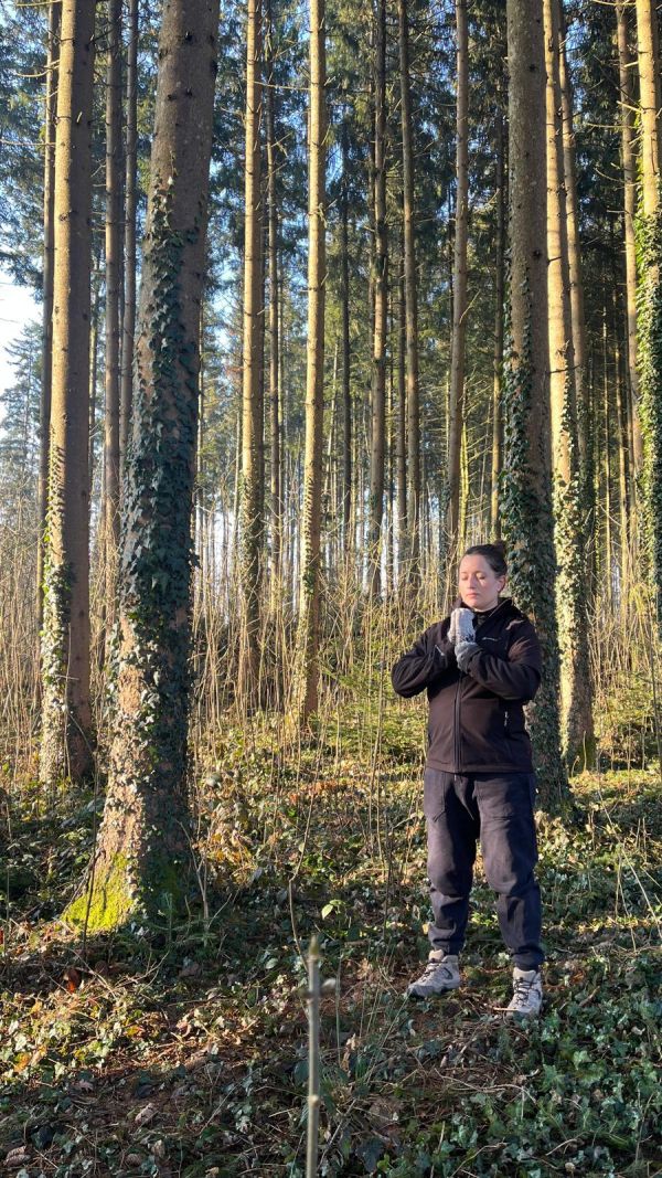 Detox-Yoga-Tage im Mostviertel